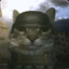 WaR_CaT