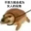 高尼集市