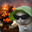 Bomb Kitty