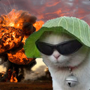 Bomb Kitty