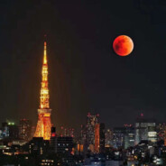 4号 禁止官匹与休闲