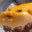 AWildCheeseFish