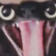 sasha 667