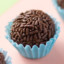 Brigadeiro Ribeiro