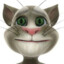 Talking Tom