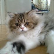 moje nowe konto Bejker123