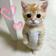 𝓔𝓼𝓼𝓾𝓷4𝓲𝓴