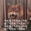 今天周五