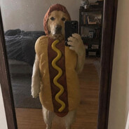 𝙺𝙰𝙼𝙸𝙻𝙻𝙾