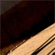 你林北我叫派大星