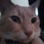 Chuntaro