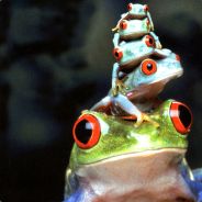 Thai-Samurai - steam id 76561197964411911