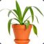 Plant Pot