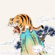 神奇的大猫