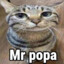 Mr popa