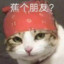 牛的一批
