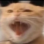 西部菱斑响尾蛇