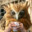 Bird Richards