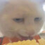 Son