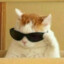 helloookaty