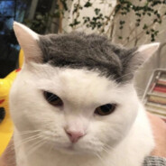Big Avatar