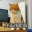 小惠宠寒风