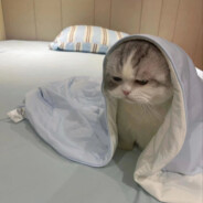 我没和你开玩笑