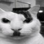 Katlof Kittler
