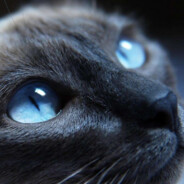 垮三小我要玄部