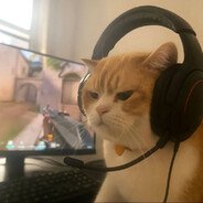 Toxic - steam id 76561199822468699