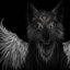 DarkAngelWolf