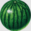 арбуз
