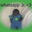 whatsapp Jr.