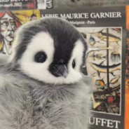 你们都叫她小龙女吗？