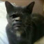 black johny