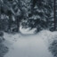 frostymerv