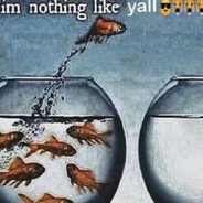 im nothing like yall