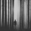 Kyconifer