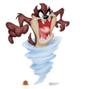 Typhoon