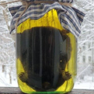 Z-Mode_Кротовуха