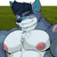 DCypherPup