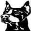 pkiller669Twitch.tv