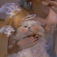 我他妈吃吃吃吃吃吃吃