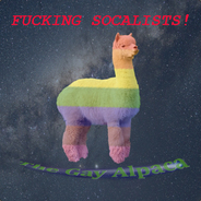 TheGayAlpaca