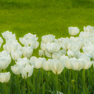 当然是原谅她了