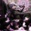 Darksiders_WAR