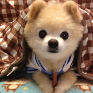 不如就相忘于江湖