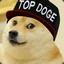 Pro-Doge