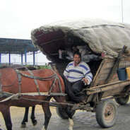 Maxxis Minion DHR II