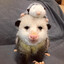 cheese ヽ(•‿•)ノ